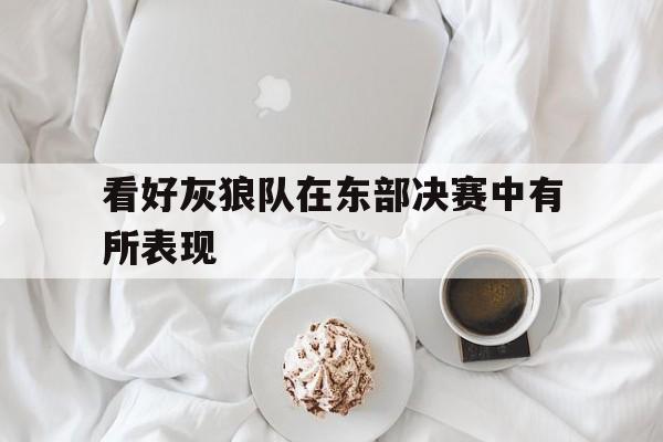 看好灰狼队在东部决赛中有所表现的简单介绍